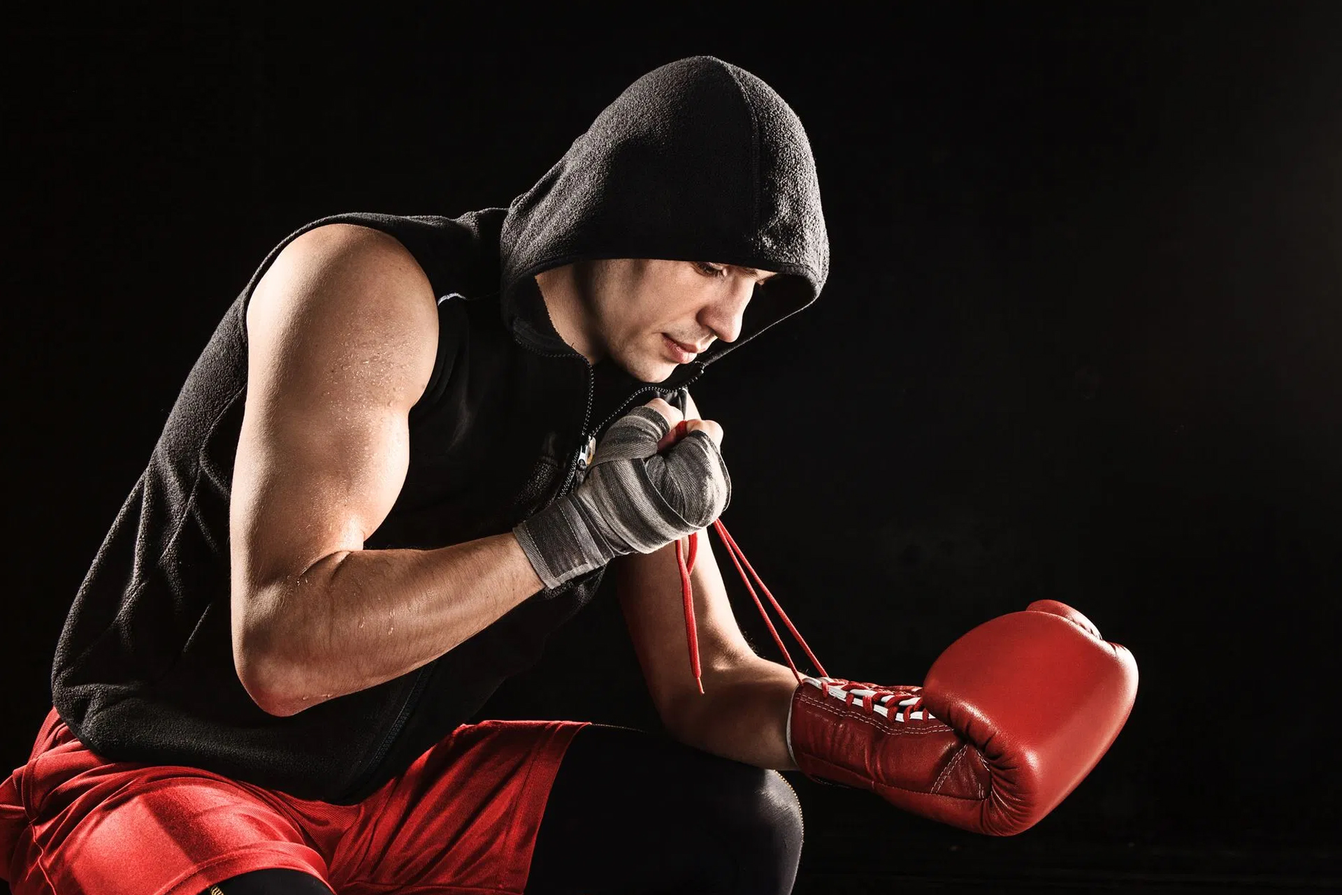 boxer-world